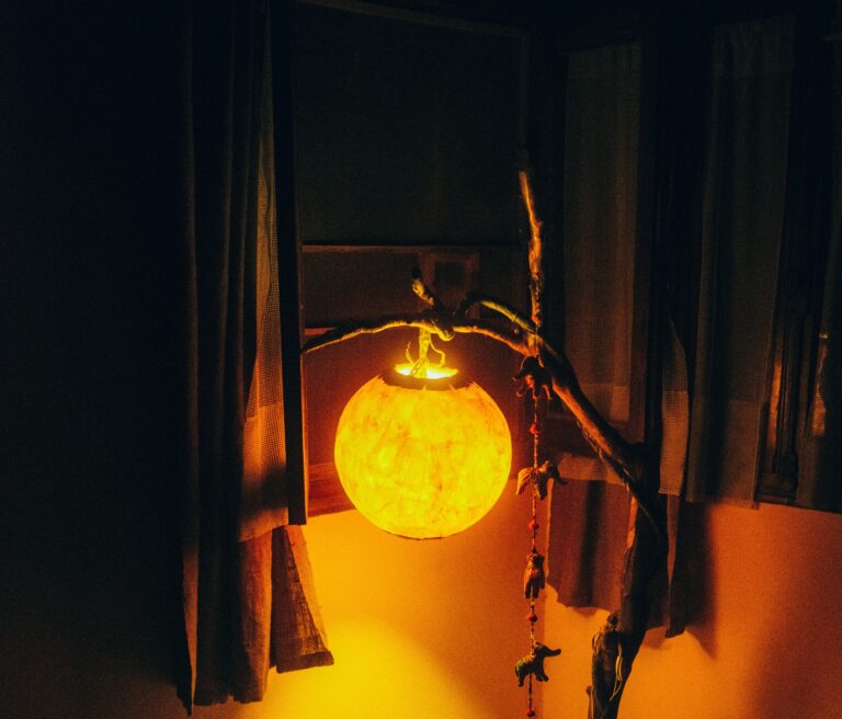 a bright, circular lantern hangs from a tree limb in an otherwise dark room.