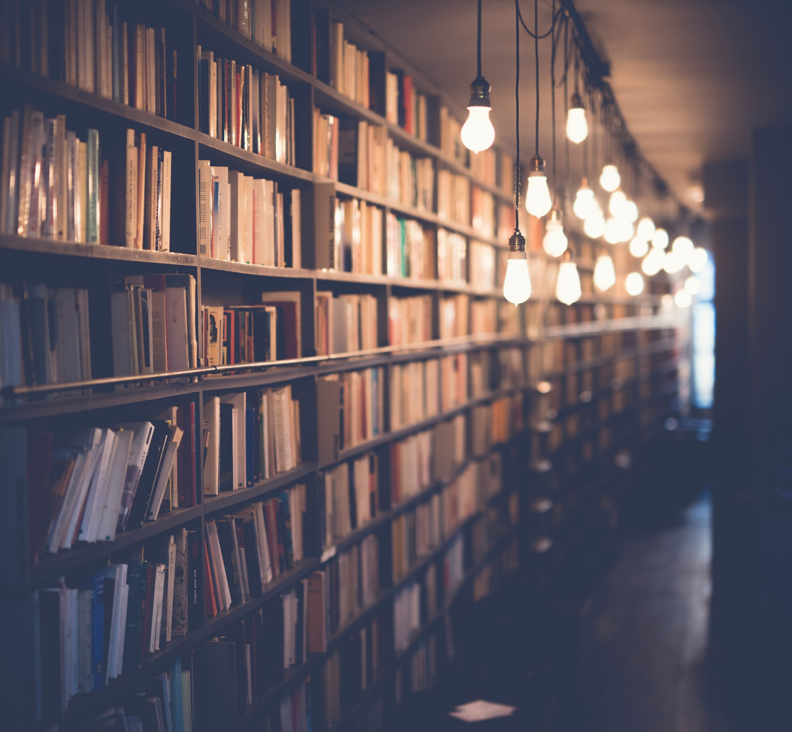 book shelves lit by bare bulbs
