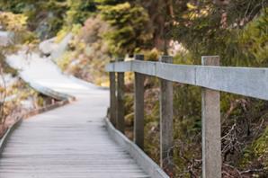 ​​​Resources for the Transition to Adulthood