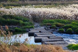 ​​​Stepping Stones