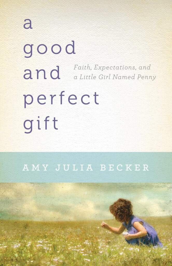 book cover of a good and perfect gift with a child crouching in a field of wildflowers