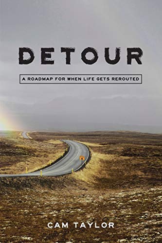 book cover of detour with a paved road through scrubland in the bottom half of the page