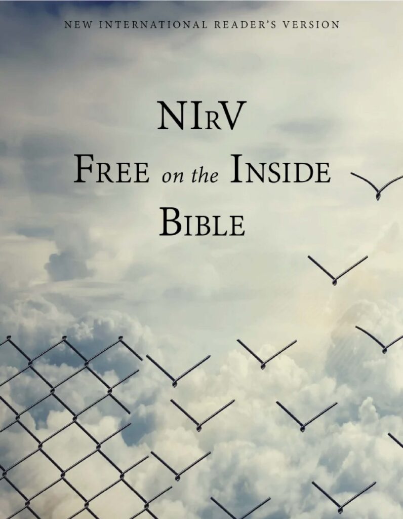 cover of the NIRV with a wire fence turning into birds against a cloudy sky